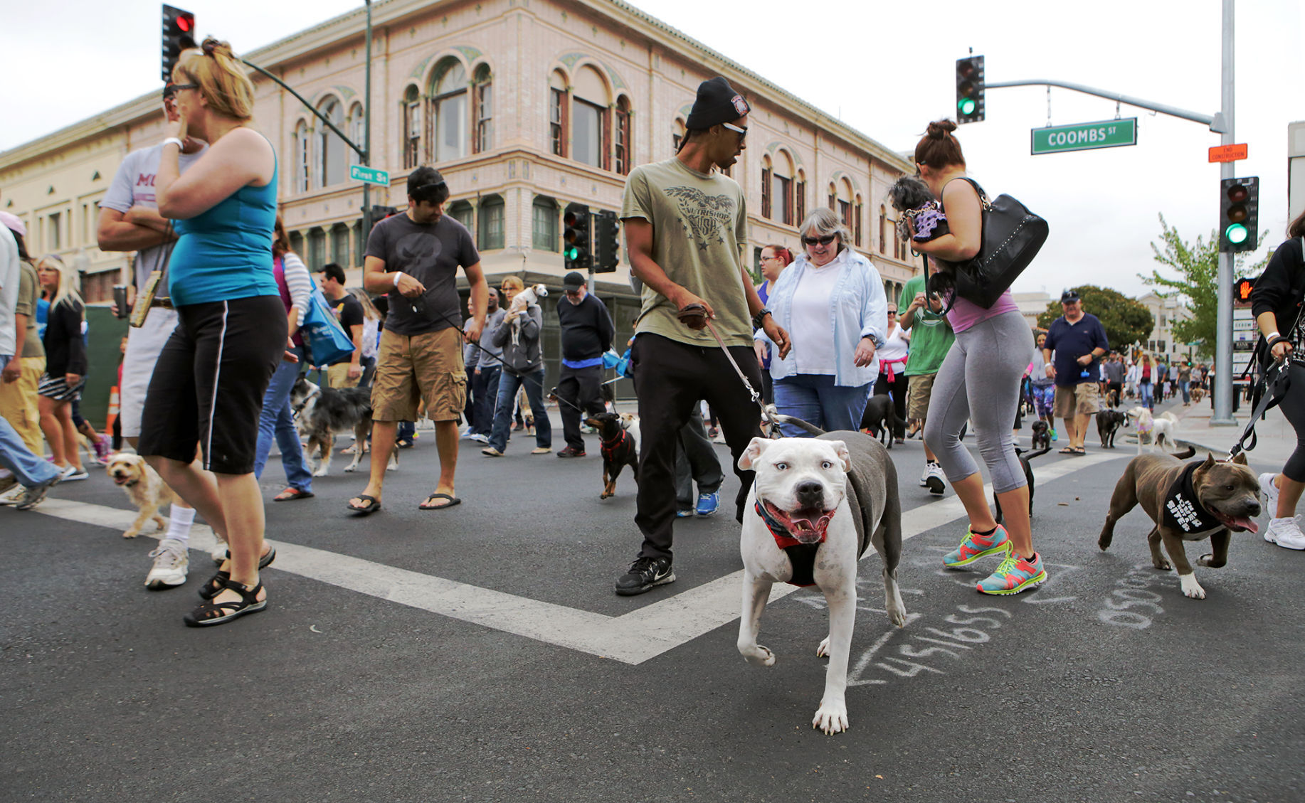 Napa Walk for Animals 2015